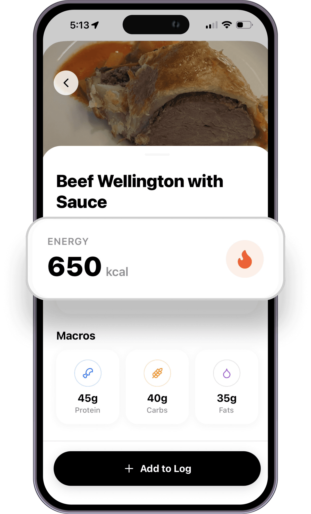 FitverseHub AI Food Tracking