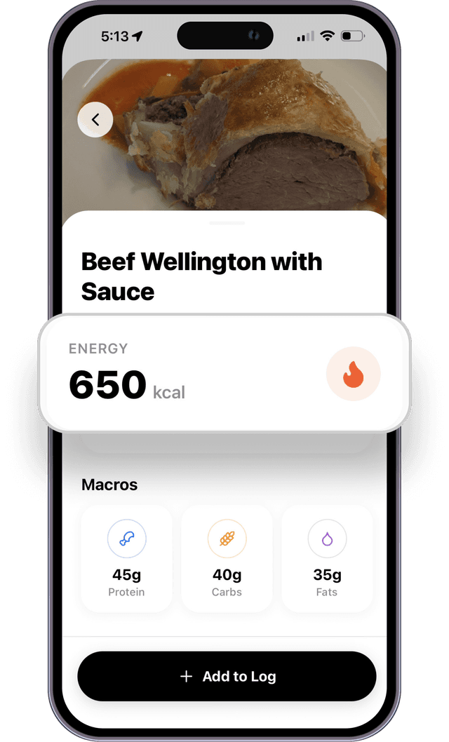 FitverseHub AI Food Tracking
