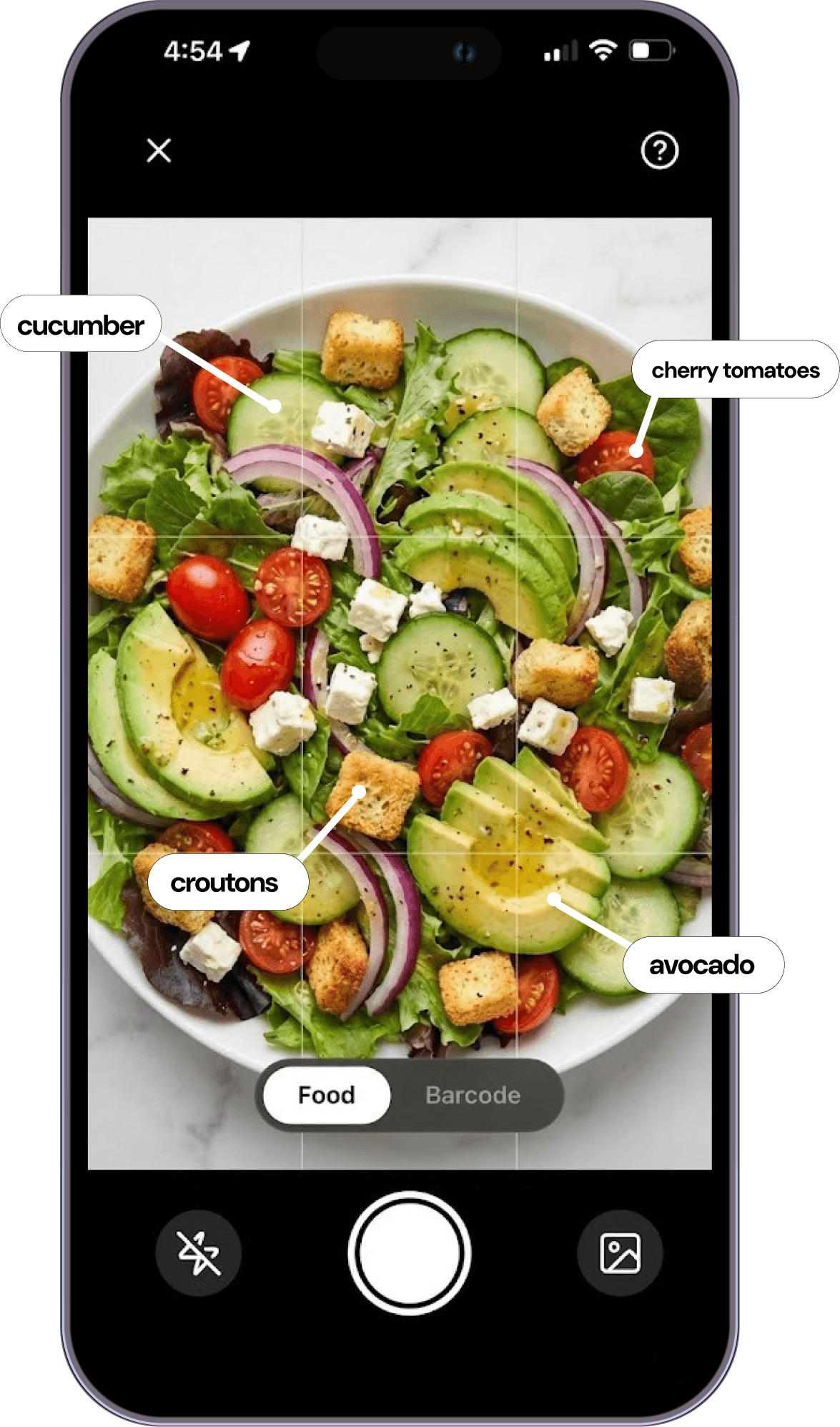 Food Scan